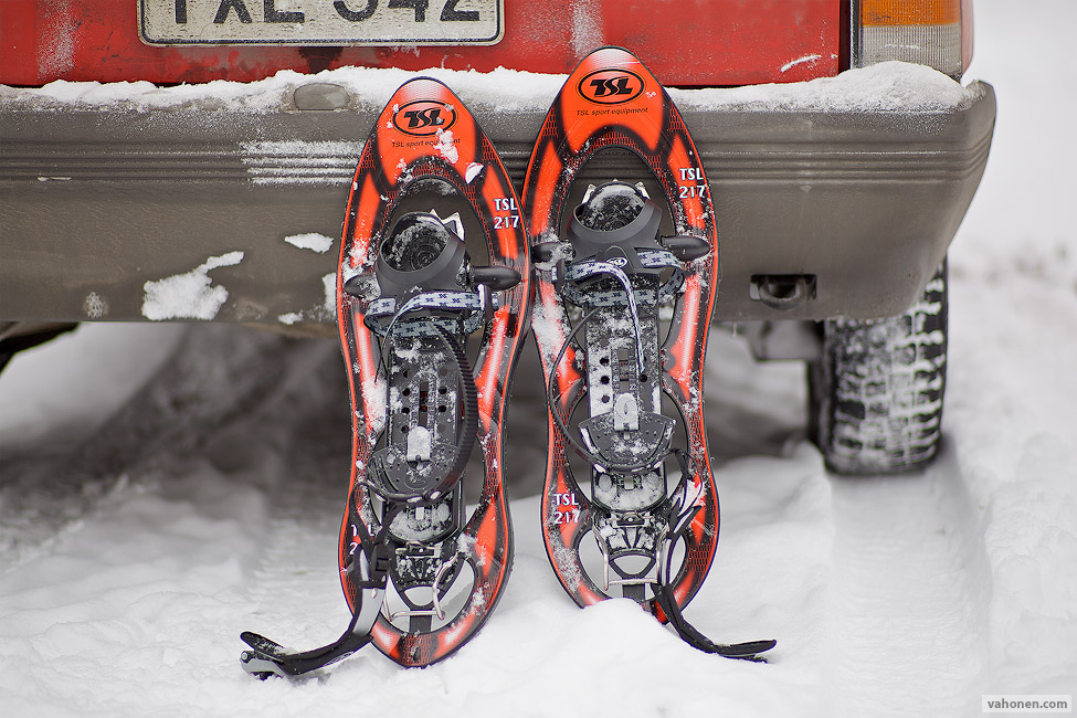 Snowshoes