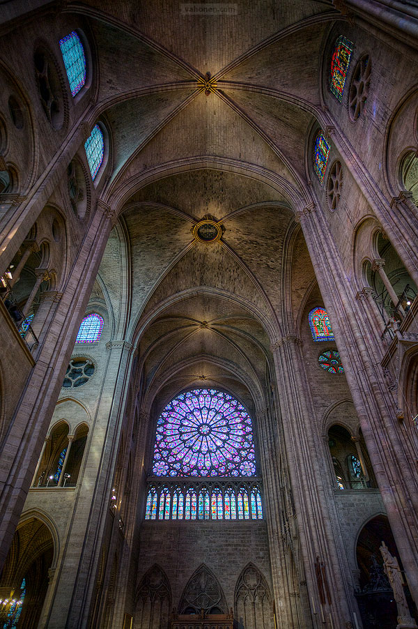 Paris Notre Dame 07