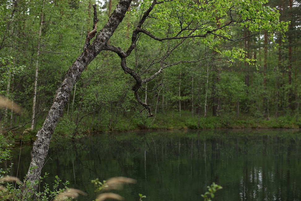 Melkuttimet 2012-06