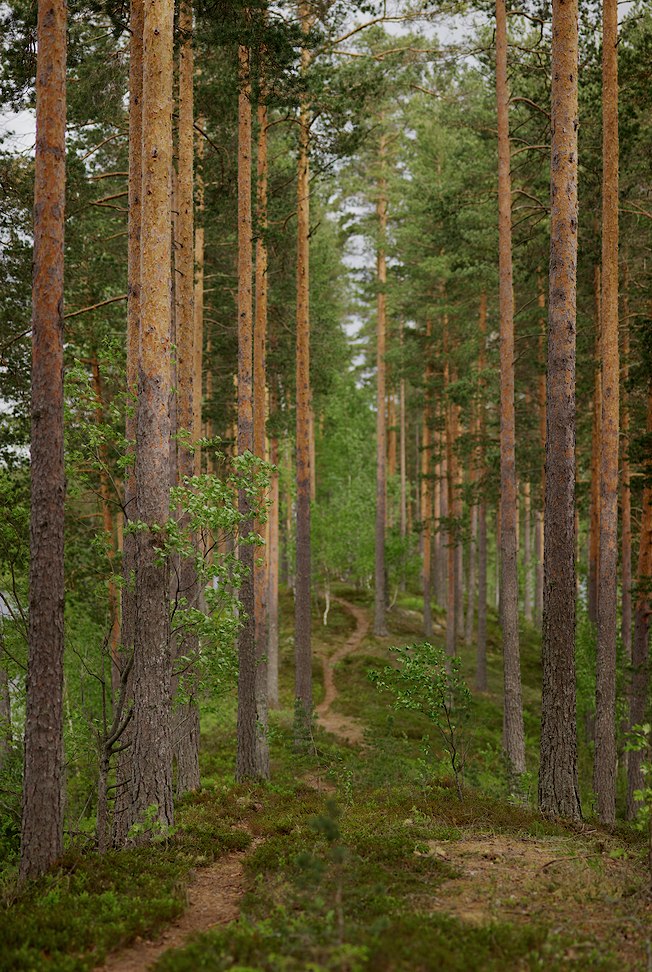 Melkuttimet 2012-11