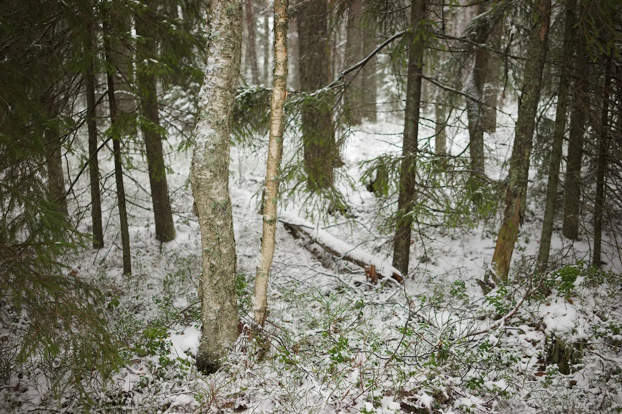 2026 © Samuli Vahonen