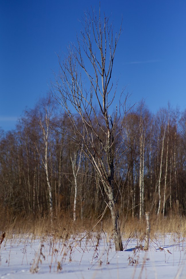 2013 © Samuli Vahonen