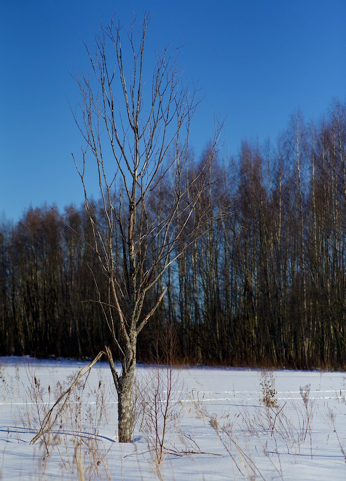 2013 © Samuli Vahonen