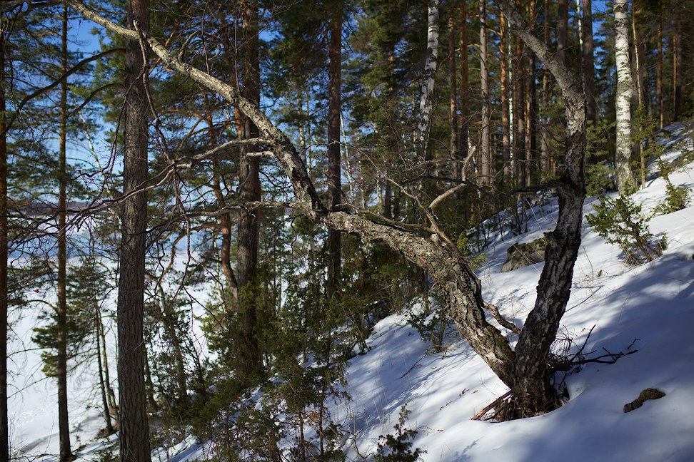 2017 © Samuli Vahonen
