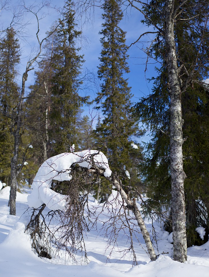 2016 © Samuli Vahonen