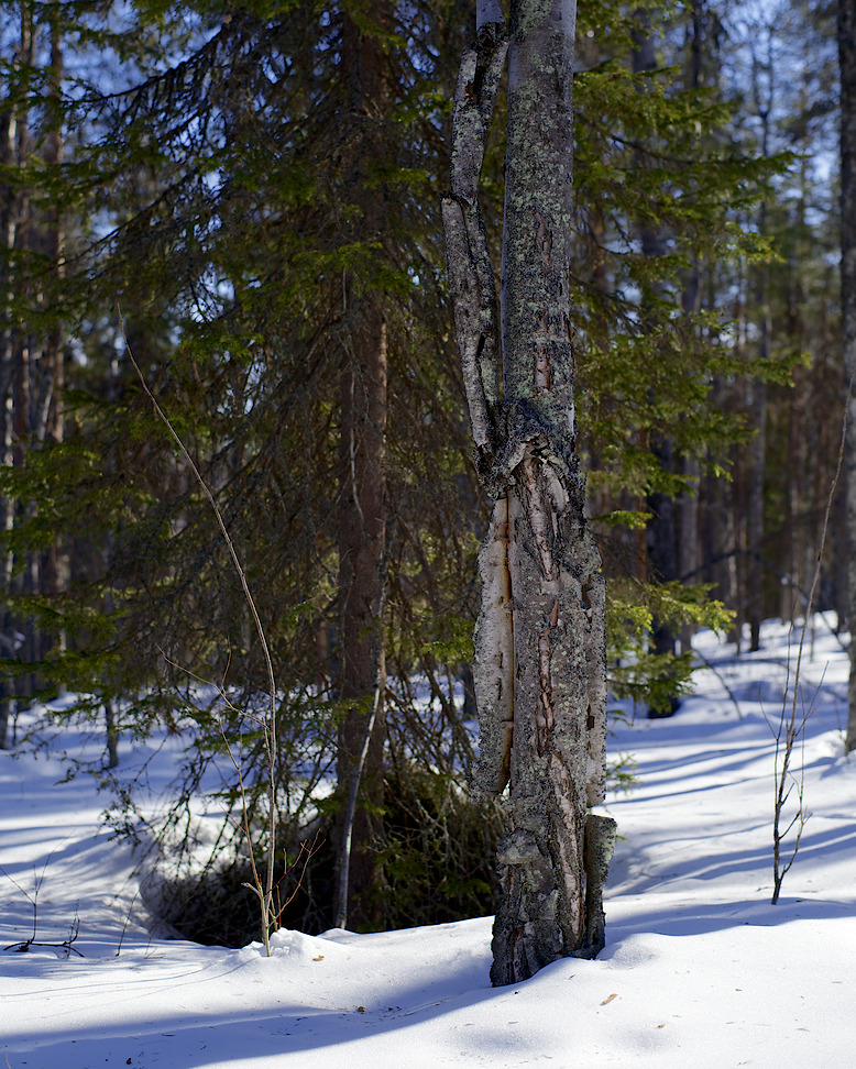 2013 © Samuli Vahonen