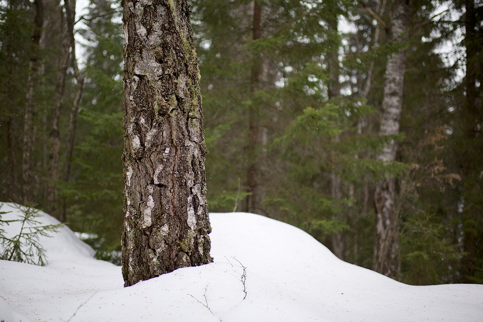 2014 © Samuli Vahonen