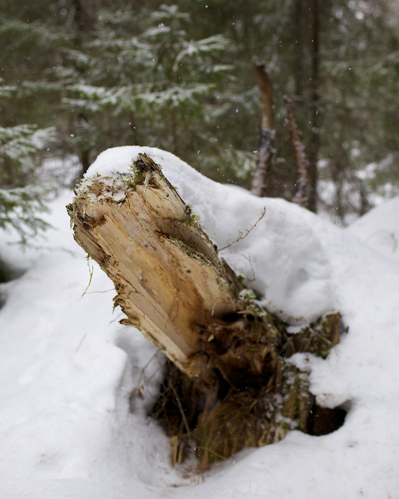 2014 © Samuli Vahonen