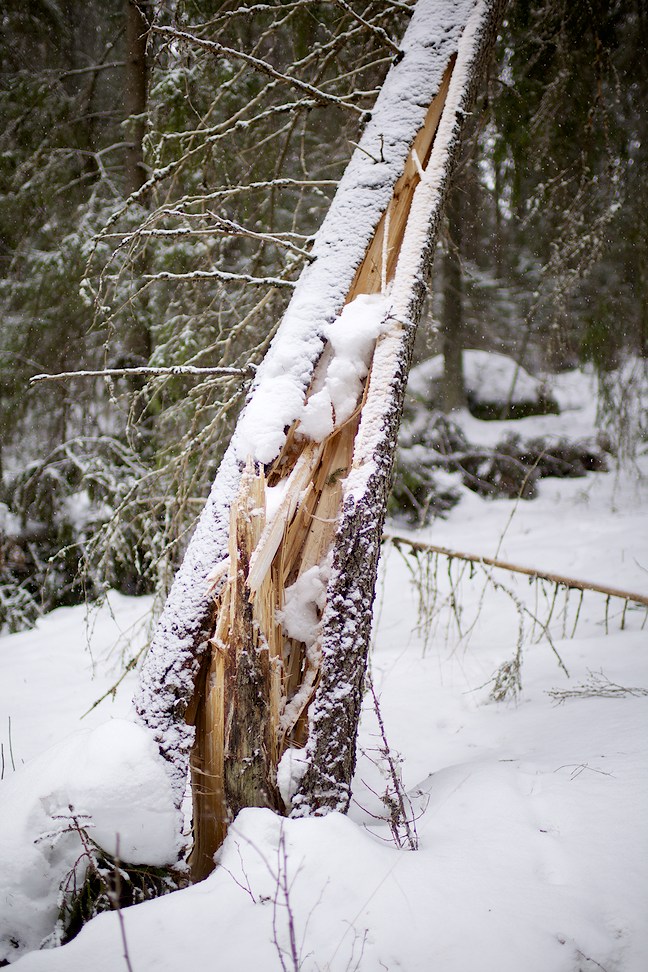 2014 © Samuli Vahonen