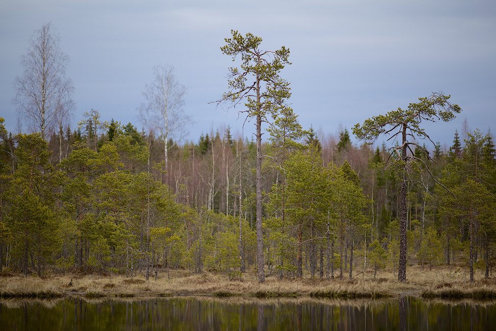 2016 © Samuli Vahonen