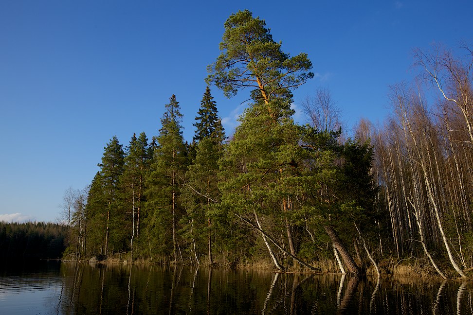 Vähä Kausjärvi 2013-05