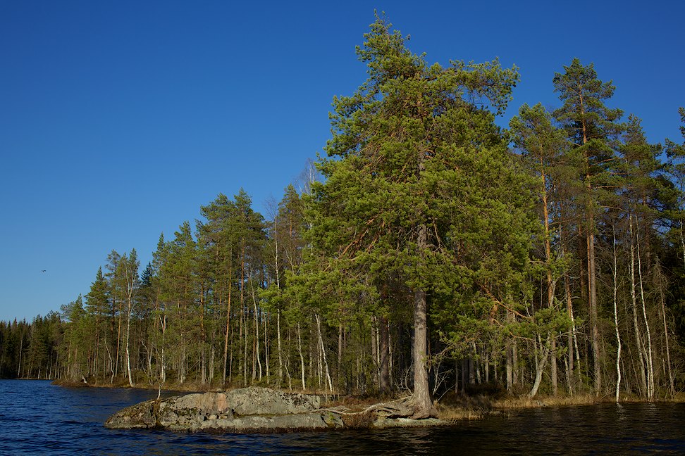 Valkeajärvi 2013-01
