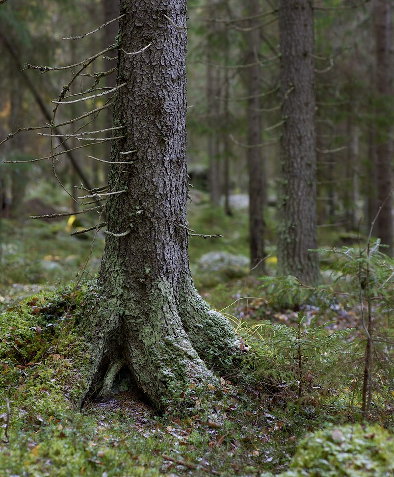 2014 © Samuli Vahonen