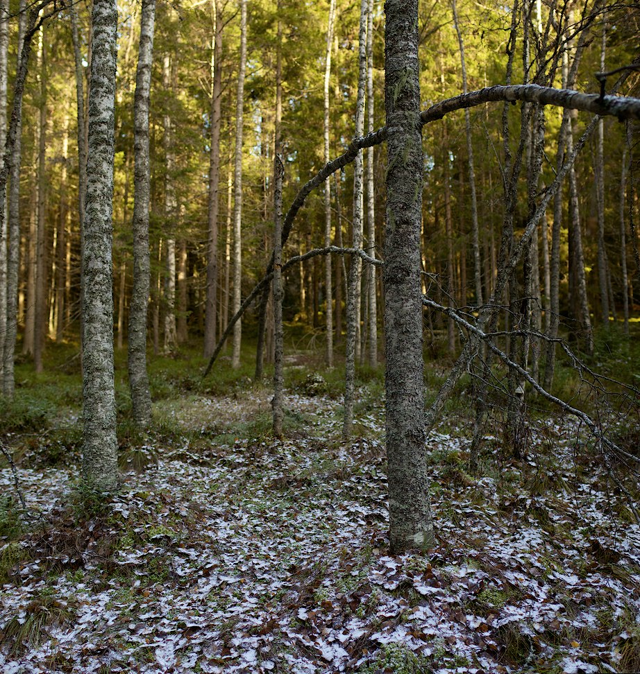 2013 © Samuli Vahonen