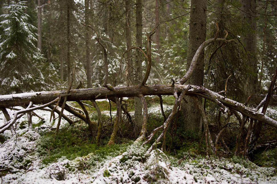 2014 © Samuli Vahonen