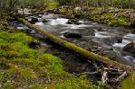 Smoky Mountains - Oconaluftee River 2