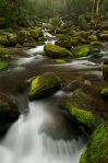 Smoky Mountains - Roaring Fork 1