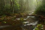 Smoky Mountains - Roaring Fork 7