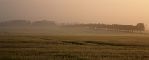 Morning mist on field