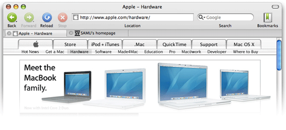 Picture
of Camino browser