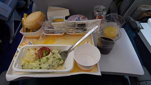 Flight meals suck!