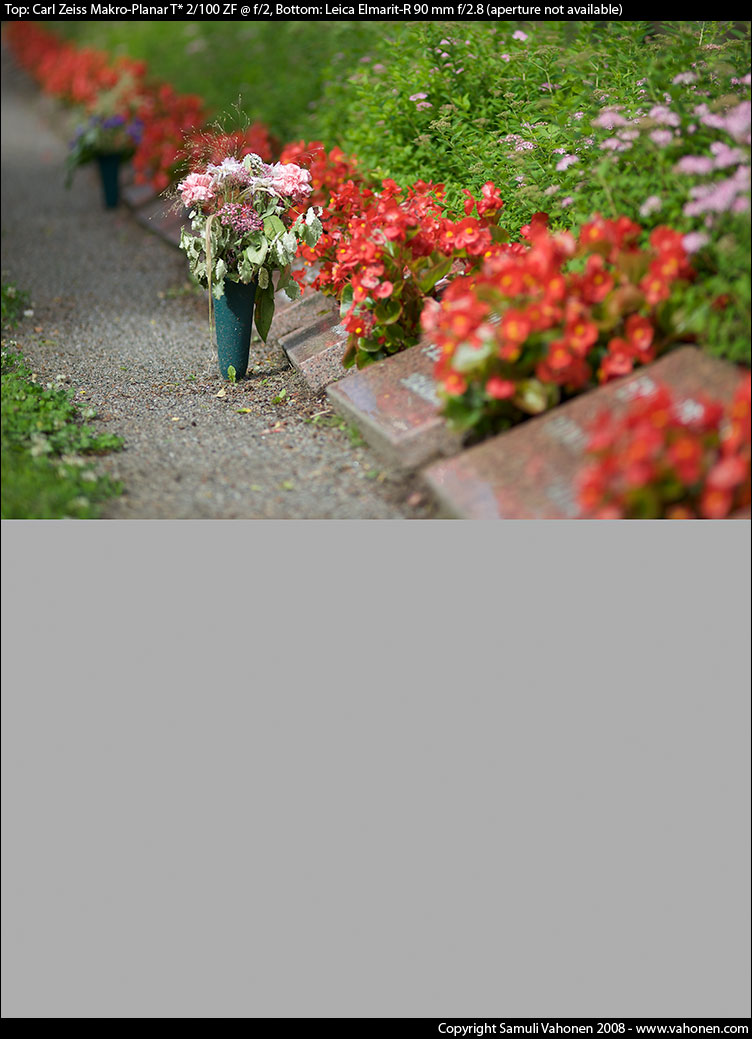 Carl Zeiss Makro-Planar T* 2/100 ZF vs. Leica Elmarit-R 90 mm f/2.8 - Headstones - f/2.0