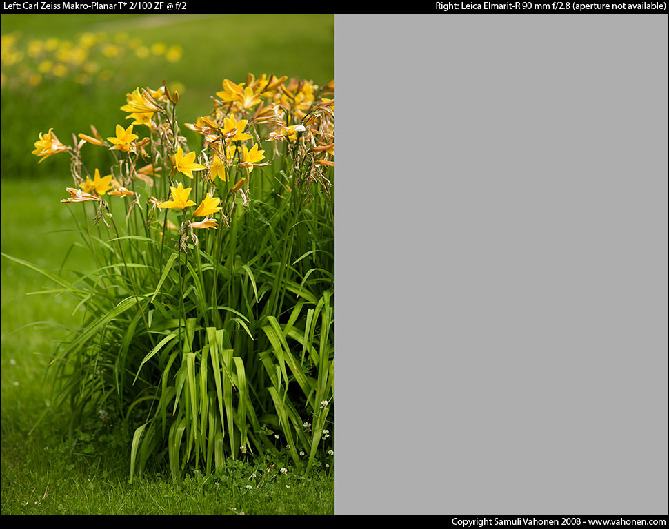 Carl Zeiss Makro-Planar T* 2/100 ZF vs. Leica Elmarit-R 90 mm f/2.8 - Yellow flowers - f/2.0