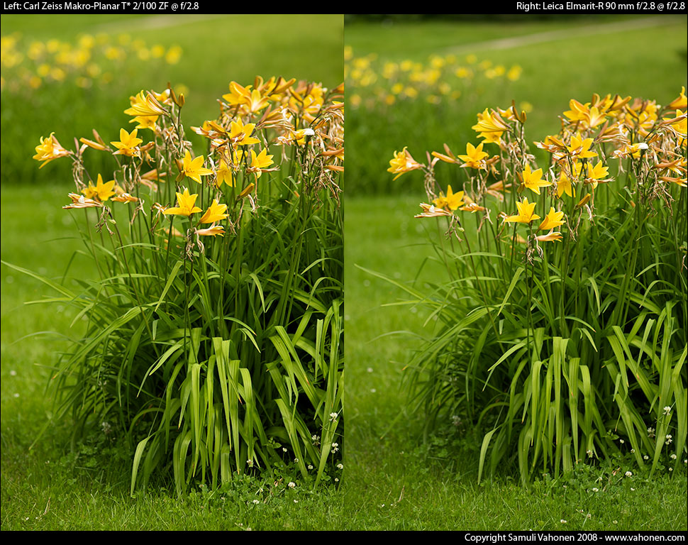 Carl Zeiss Makro-Planar T* 2/100 ZF vs. Leica Elmarit-R 90 mm f/2.8 - Yellow flowers - f/2.8