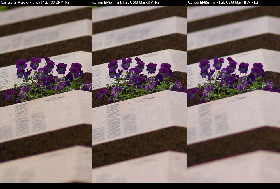 Carl Zeiss Makro-Planar T* 2/100 ZF vs. Canon EF85mm f/1.2L USM Mark II - Headstones2 - centers