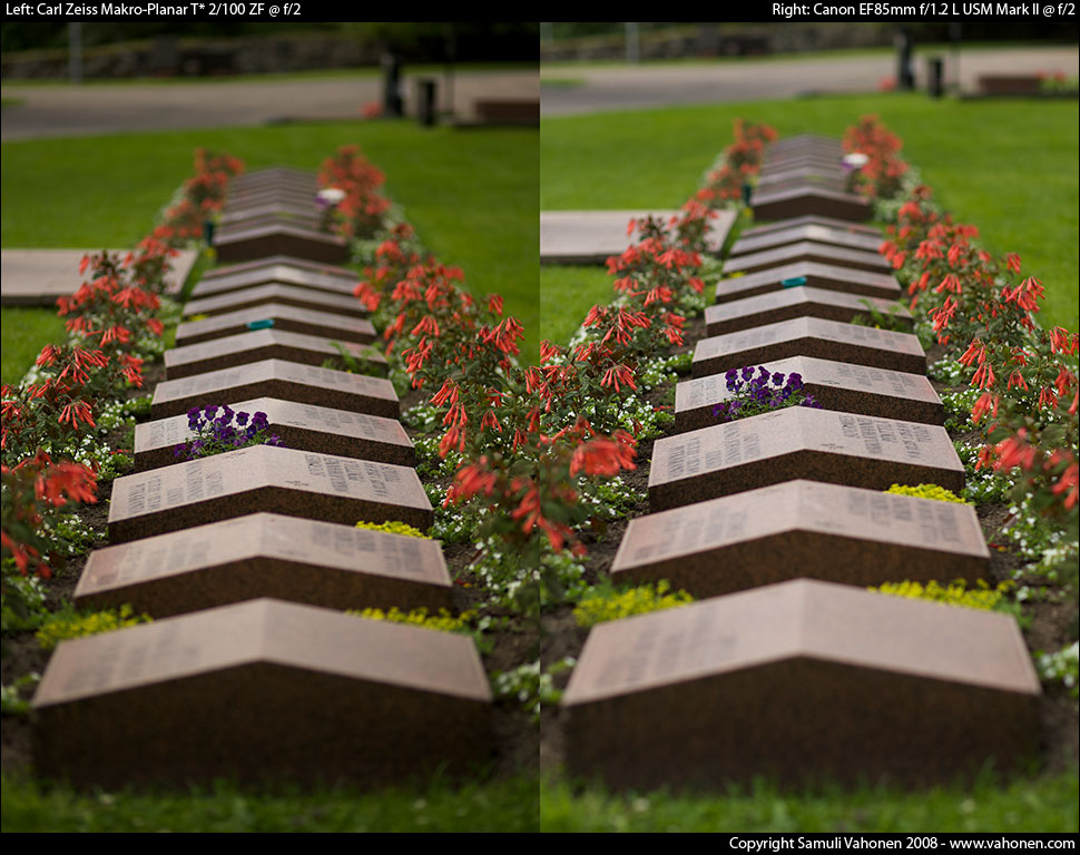 Carl Zeiss Makro-Planar T* 2/100 ZF vs. Canon EF85mm f/1.2L USM Mark II - Headstones2 - f/2.0