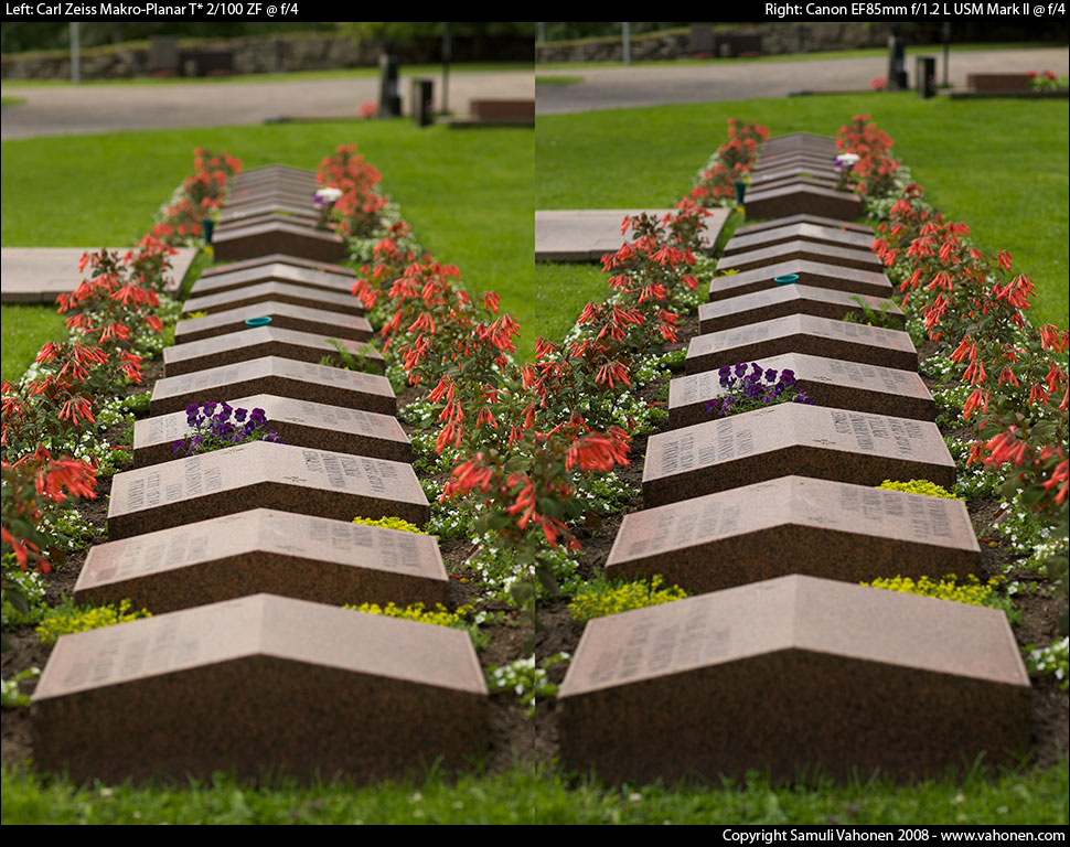 Carl Zeiss Makro-Planar T* 2/100 ZF vs. Canon EF85mm f/1.2L USM Mark II - Headstones2 - f/4.0