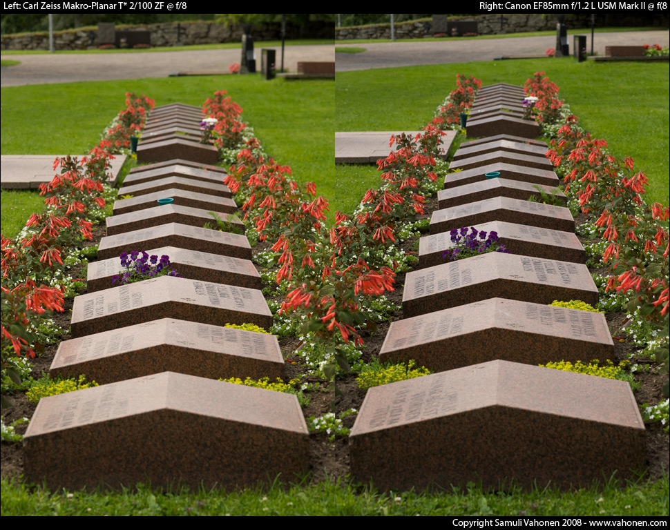 Carl Zeiss Makro-Planar T* 2/100 ZF vs. Canon EF85mm f/1.2L USM Mark II - Headstones2 - f/8.0